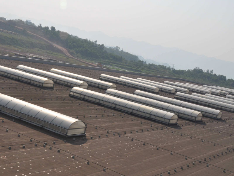 圆拱型排烟天窗